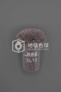 ARS 5L18