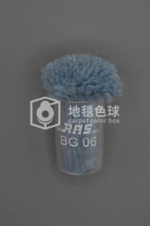ARS BG06