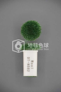 DT N582