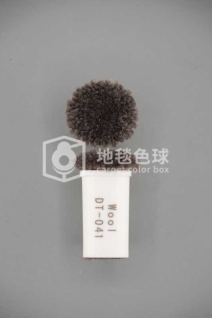 DT 041