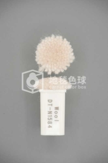 DT N1584