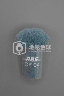 ARS CF04