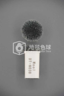 DT N038