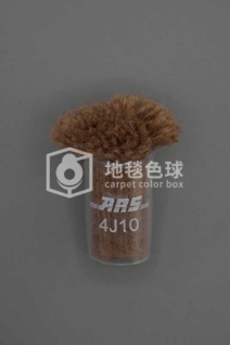 ARS 4J10