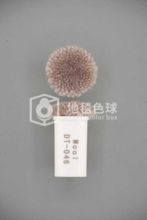 DT 046