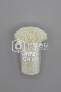 ARS CR09