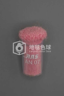 ARS AN07