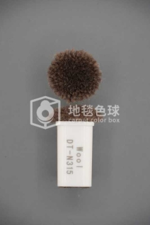 DT N315