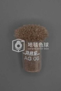 ARS AG06