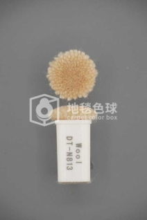 DT N813