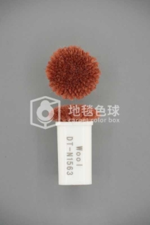 DT N1563