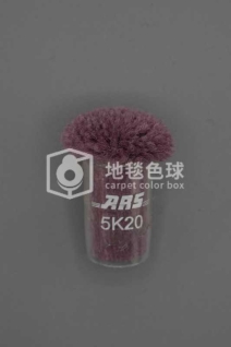 ARS 5K20