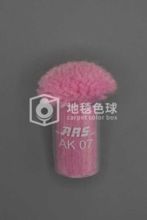 ARS AK07