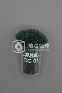 ARS CC01