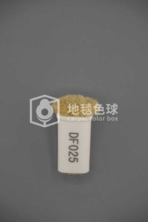 DF025
