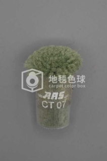 ARS CT07