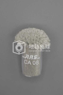 ARS CA08