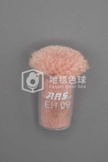 ARS EH09