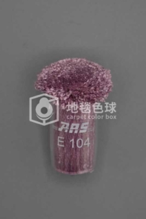 ARS E104