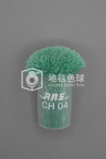 ARS CH04