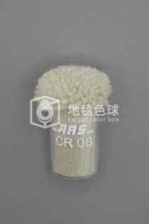ARS CR08