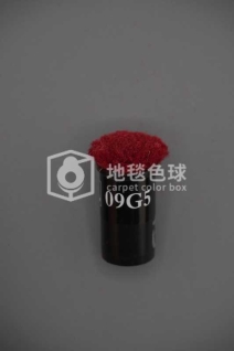 09G5