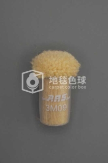 ARS 3M09