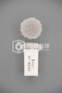DT N005