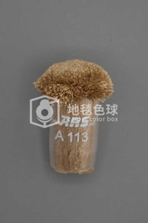 ARS A113
