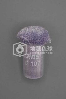 ARS E107