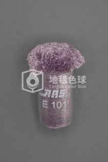 ARS E101