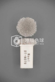 DT N079