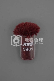 ARS 5B01