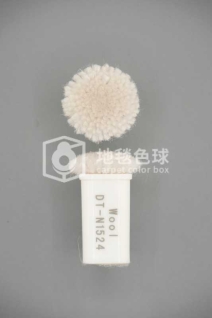 DT N1524