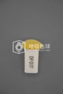 DF017