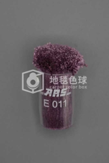 ARS E011