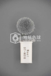 DT N016