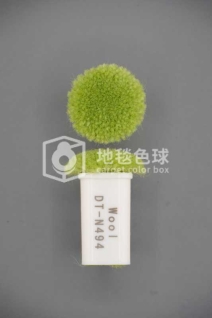 DT N494