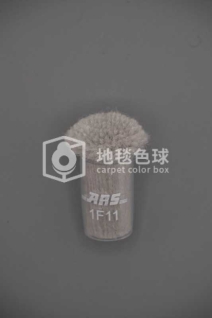 ARS 1F11