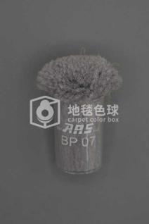 ARS BP07