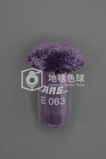 ARS E063