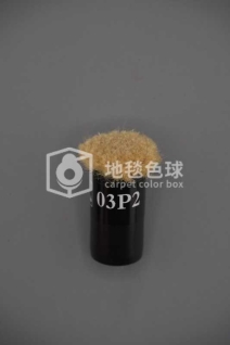 03P2