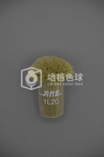 ARS 1L20