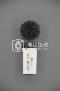 DT N049