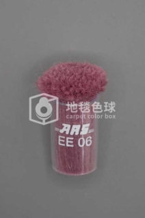 ARS EE06