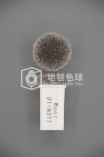 DT N377