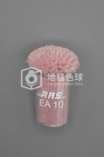 ARS EA10