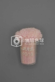 ARS 4G16