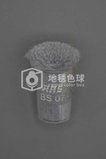 ARS BS07