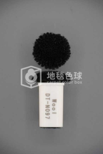 DT N097